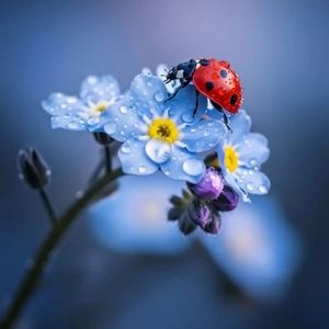 Meet your Posher, Farrin